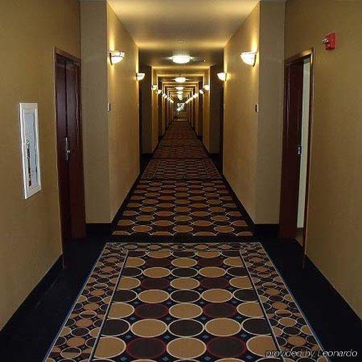 Irish Inn And Suites Muleshoe Exterior photo